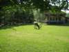 Photo Number 11